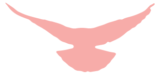 undefined 640 (3).png